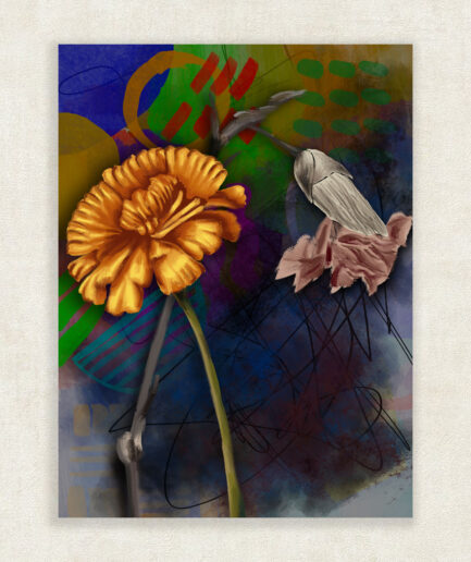 Petal Between Joy and Sorrow